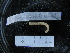  (Platynereis magalhaensis - MACNINVCTAP0021)  @11 [ ] CreativeCommons - Attribution Non-Commercial (2013) Unspecified MACN