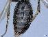  ( - APO_00031)  @11 [ ] CC-BY-NC (2023) ARTHROPOLOGIA ARTHROPOLOGIA