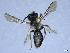  ( - APO_00031)  @11 [ ] CC-BY-NC (2023) ARTHROPOLOGIA ARTHROPOLOGIA