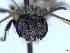  ( - APO_00031)  @11 [ ] CC-BY-NC (2023) ARTHROPOLOGIA ARTHROPOLOGIA