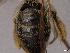  ( - APO_00032)  @11 [ ] CC-BY-NC (2023) ARTHROPOLOGIA ARTHROPOLOGIA