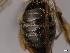  ( - APO_00032)  @11 [ ] CC-BY-NC (2023) ARTHROPOLOGIA ARTHROPOLOGIA