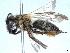  ( - APO_00032)  @11 [ ] CC-BY-NC (2023) ARTHROPOLOGIA ARTHROPOLOGIA