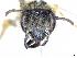  ( - APO_00032)  @11 [ ] CC-BY-NC (2023) ARTHROPOLOGIA ARTHROPOLOGIA