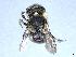  ( - APO_00078)  @11 [ ] CC-BY-NC (2023) ARTHROPOLOGIA ARTHROPOLOGIA