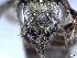 ( - APO_00078)  @11 [ ] CC-BY-NC (2023) ARTHROPOLOGIA ARTHROPOLOGIA