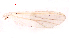  ( - Song2)  @12 [ ] Copyright (2015) Chao Song College of Life Sciences, Nankai Universtiy