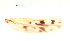  ( - song93)  @12 [ ] Copyright (2015) Chao Song College of Life Sciences, Nankai University
