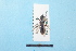  ( - BL1800053)  @12 [ ] Pollen (2018) Christophe Bouget EFNO IRSTEA