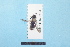  ( - BL1800064)  @11 [ ] Pollen (2018) Christophe Bouget EFNO IRSTEA