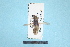  ( - BL1800259)  @11 [ ] Pollen (2018) Christophe Bouget EFNO IRSTEA