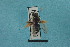 ( - MB01191)  @11 [ ] Pollen (2018) Mathilde Baude University of Orleans
