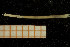  ( - UMBergen_NB_Euni04)  @12 [ ] CreativeCommons - Attribution Non-Commercial Share-Alike (2013) Unspecified University of Bergen, Natural History Collections