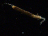  ( - UMBergen_NB_amphar10)  @11 [ ] CreativeCommons - Attribution Non-Commercial Share-Alike (2012) Unspecified University of Bergen, Natural History Collections