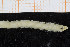  ( - UMBergen_NB_polych311)  @13 [ ] Unspecified (default): All Rights Reserved (2014) Unspecified Unspecified