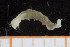  ( - UMBergen_NB_polych353)  @11 [ ] CreativeCommons - Attribution Non-Commercial Share-Alike (2014) University of Bergen, Norway University of Bergen, Natural History Collections