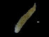  ( - ZMBN_104769)  @11 [ ] CreativeCommons - Attribution Non-Commercial Share-Alike (2015) UoB, Norway University of Bergen, Natural History Collections