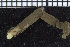  ( - ZMBN_104790)  @11 [ ] CreativeCommons - Attribution Non-Commercial Share-Alike (2015) UoB, Norway University of Bergen, Natural History Collections