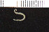  ( - ZMBN_104905)  @11 [ ] CreativeCommons - Attribution Non-Commercial Share-Alike (2016) UoB University of Bergen, Natural History Collections