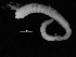  ( - ZMBN_108073)  @11 [ ] CreativeCommons - Attribution Non-Commercial Share-Alike (2018) University of Bergen Natural History Collections