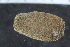  ( - ZMBN_120370)  @11 [ ] CreativeCommons - Attribution Non-Commercial Share-Alike (2017) University of Bergen Natural History Collections