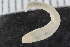  ( - ZMBN_125392)  @11 [ ] CreativeCommons - Attribution Non-Commercial Share-Alike (2018) University of Bergen Natural History Collections