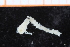 ( - ZMBN_95279)  @11 [ ] CreativeCommons - Attribution Non-Commercial Share-Alike (2014) University of Bergen University of Bergen, Natural History Collections
