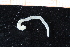  ( - ZMBN_95377)  @11 [ ] CreativeCommons - Attribution Non-Commercial Share-Alike (2014) University of Bergen University of Bergen, Natural History Collections
