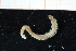 ( - ZMBN_95389)  @12 [ ] CreativeCommons - Attribution Non-Commercial Share-Alike (2014) University of Bergen University of Bergen, Natural History Collections