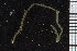  ( - ZMBN_95852)  @12 [ ] CreativeCommons - Attribution Non-Commercial Share-Alike (2015) University of Bergen University of Bergen, Natural History Collections