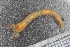  ( - ZMBN_98217)  @13 [ ] CreativeCommons - Attribution Non-Commercial Share-Alike (2015) University of Bergen University of Bergen, Natural History Collection