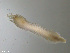  ( - TB349)  @12 [ ] CreativeCommons - Attribution Non-Commercial Share-Alike (2012) NTNU Vitenskapsmuseet NTNU Museum of Natural History and Archaeology