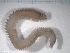  ( - TB94)  @12 [ ] CreativeCommons - Attribution Non-Commercial Share-Alike (2012) NTNU Vitenskapsmuseet NTNU Museum of Natural History and Archaeology