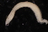  ( - ECOSUR-OH-0934)  @11 [ ] CreativeCommons  Attribution Non-Commercial (by-nc) (2016) Unspecified Unspecified
