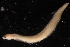  ( - ECOSUR-OH-0938)  @11 [ ] CreativeCommons  Attribution Non-Commercial (by-nc) (2016) Unspecified Unspecified