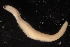  ( - ECOSUR-OH-0944)  @11 [ ] CreativeCommons  Attribution Non-Commercial (by-nc) (2016) Unspecified Unspecified