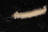  ( - ECOSUR-OH-0947)  @11 [ ] CreativeCommons  Attribution Non-Commercial (by-nc) (2016) Unspecified Unspecified
