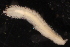  ( - ECOSUR-OH-0953)  @11 [ ] CreativeCommons  Attribution Non-Commercial (by-nc) (2016) Unspecified Unspecified
