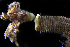  ( - ECOSUR-OH-P291)  @11 [ ] CreativeCommons - Attribution  Unspecified Unspecified