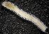  ( - ECOSUR-OH-P643)  @14 [ ] CreativeCommons - Attribution  Unspecified Unspecified