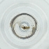 ( - POMS_003_C2)  @11 [ ] by  Genome Research Ltd as Wellcome Sanger Institute Genome Research Limited operating as Wellcome Sanger Institute