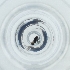  ( - POMS_005_F6)  @11 [ ] by  Genome Research Ltd as Wellcome Sanger Institute Genome Research Limited operating as Wellcome Sanger Institute