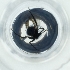 ( - POMS_008_B10)  @11 [ ] by  Genome Research Ltd as Wellcome Sanger Institute Genome Research Limited operating as Wellcome Sanger Institute