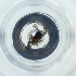  ( - POMS_008_C2)  @11 [ ] by  Genome Research Ltd as Wellcome Sanger Institute Genome Research Limited operating as Wellcome Sanger Institute