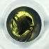  ( - POMS_008_G6)  @11 [ ] by  Genome Research Ltd as Wellcome Sanger Institute Genome Research Limited operating as Wellcome Sanger Institute