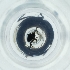  ( - POMS_009_C11)  @11 [ ] by  Genome Research Ltd as Wellcome Sanger Institute Genome Research Limited operating as Wellcome Sanger Institute