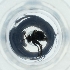  ( - POMS_009_D8)  @11 [ ] by  Genome Research Ltd as Wellcome Sanger Institute Genome Research Limited operating as Wellcome Sanger Institute