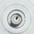  ( - POMS_009_E3)  @11 [ ] by  Genome Research Ltd as Wellcome Sanger Institute Genome Research Limited operating as Wellcome Sanger Institute
