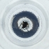  ( - POMS_011_A11)  @11 [ ] by  Genome Research Ltd as Wellcome Sanger Institute Genome Research Limited operating as Wellcome Sanger Institute