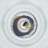  ( - POMS_011_B8)  @11 [ ] by  Genome Research Ltd as Wellcome Sanger Institute Genome Research Limited operating as Wellcome Sanger Institute